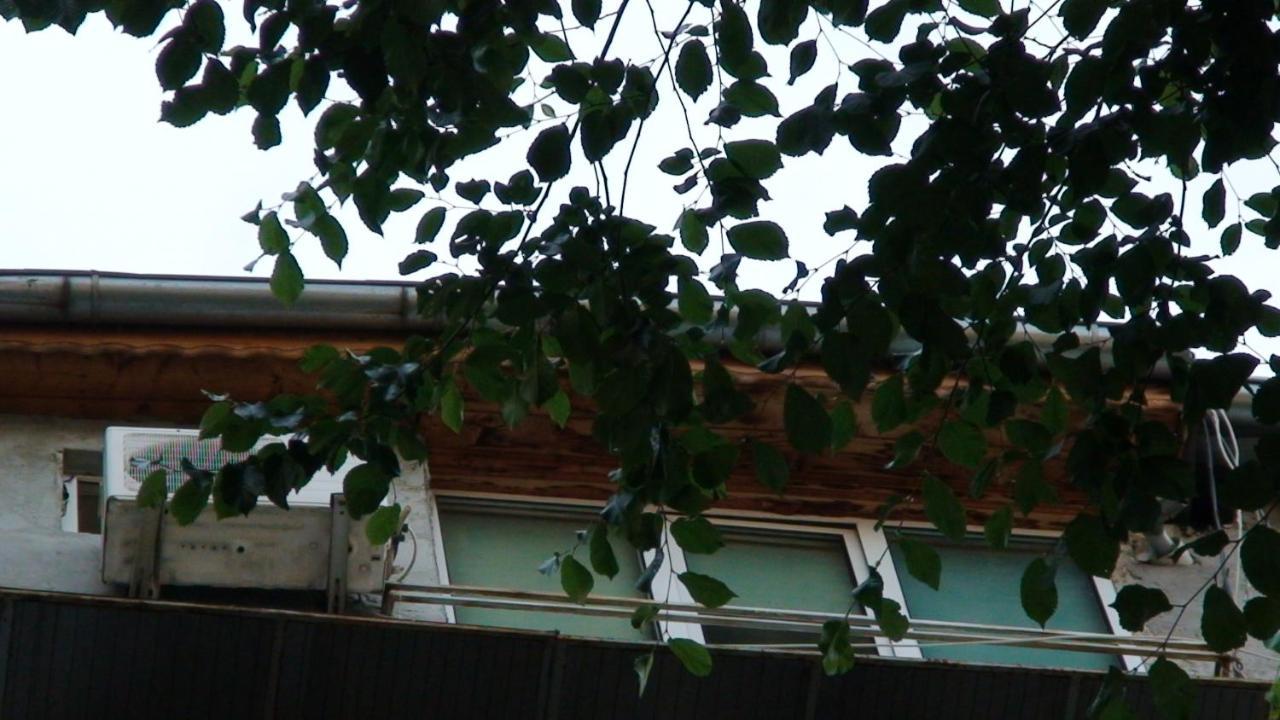 Studio French Embassy, Amzei Historic Center Bucureşti Ngoại thất bức ảnh